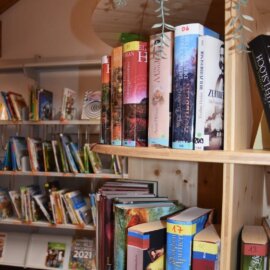 Bild von einem mit Büchern gefüllten Bücherregal